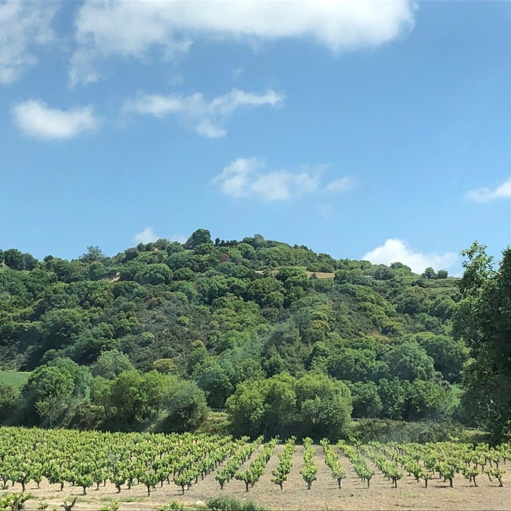 Makarounas Boutique Winery