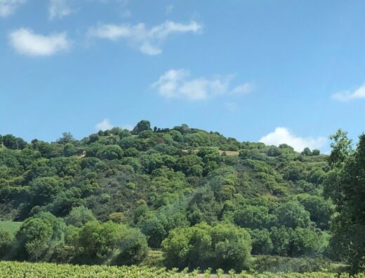 Makarounas Boutique Winery