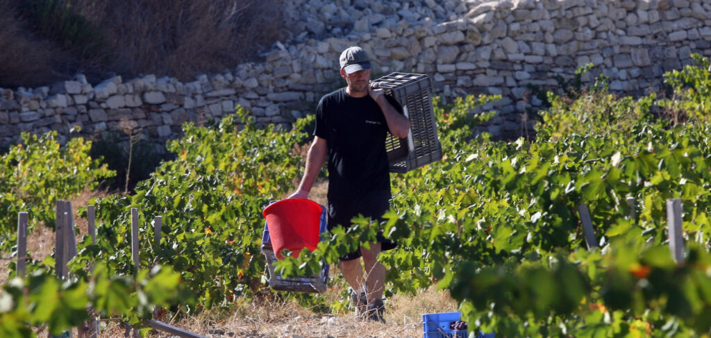 Monolithos Boutique Winery