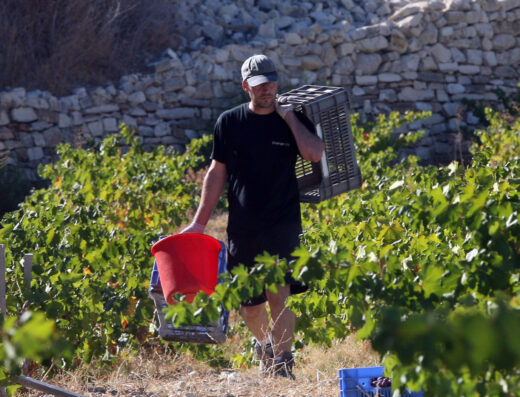 Monolithos Boutique Winery
