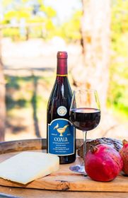 Shiraz 2022 bottle