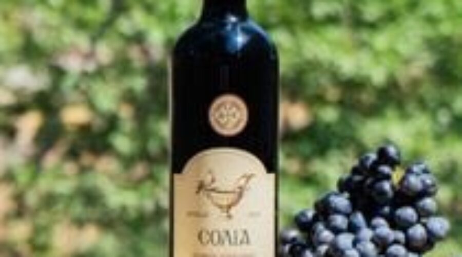 Solia Shiraz 2021 Limited Edition