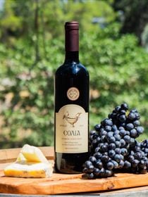 Solia Shiraz 2021 Limited Edition bottle