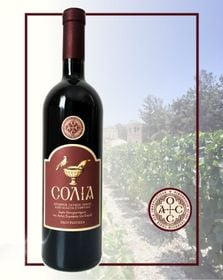 Sweet Red wine bottle