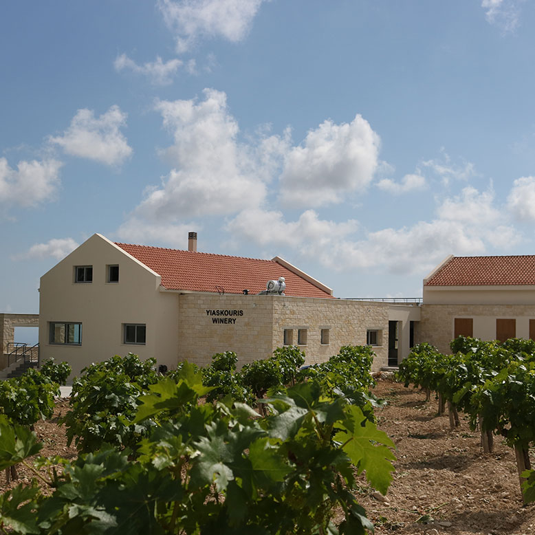 Yiaskouris Winery Ltd
